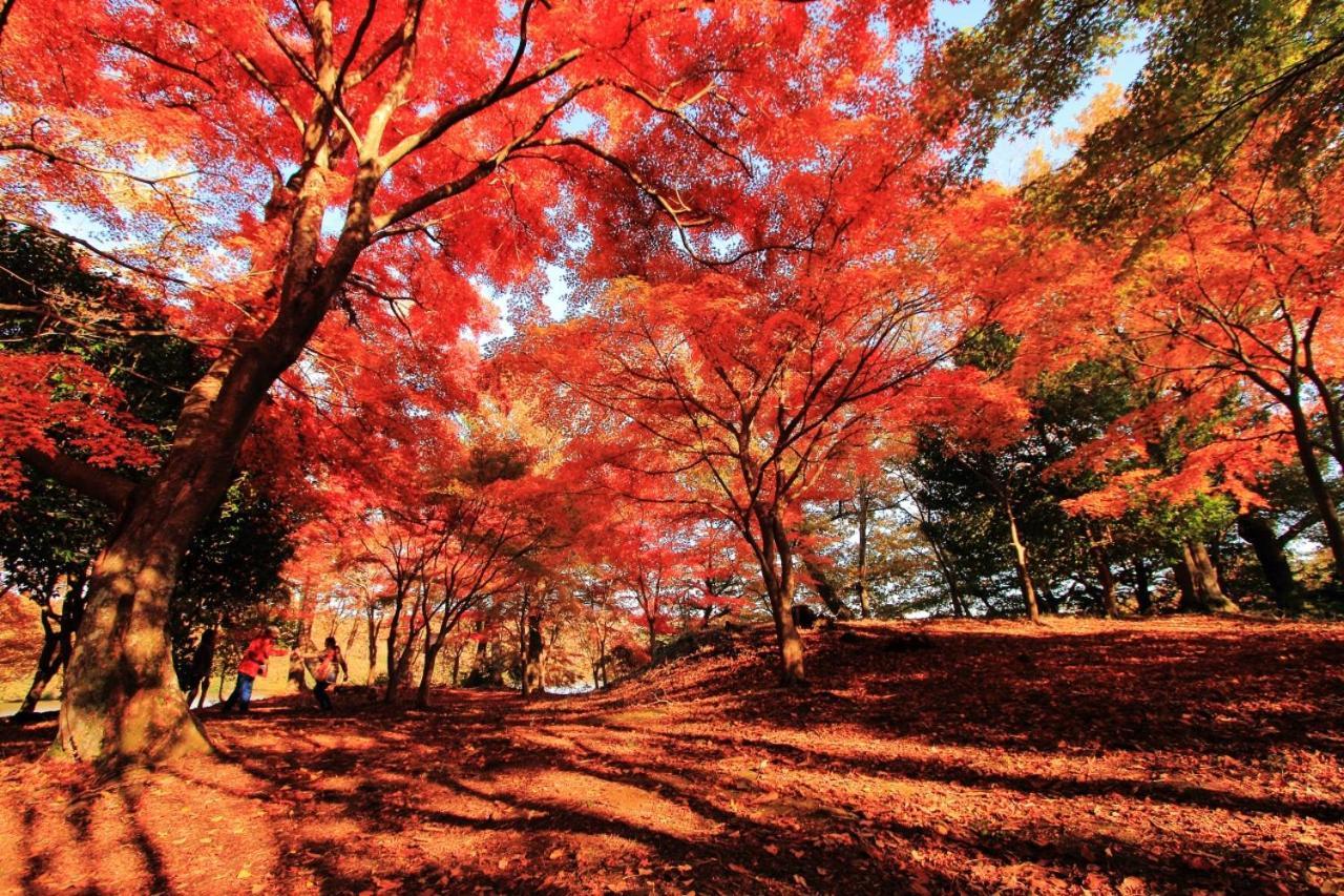 伊豆高原 温泉付別荘 Isana Mountain Villa Futo Exteriör bild