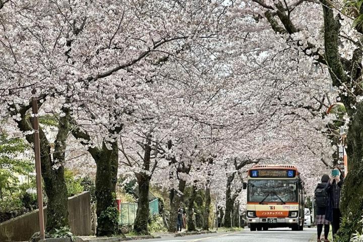 伊豆高原 温泉付別荘 Isana Mountain Villa Futo Exteriör bild